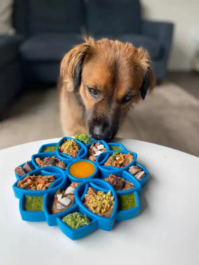 Mandala Design eTray Enrichment Tray for Dogs SodaPup