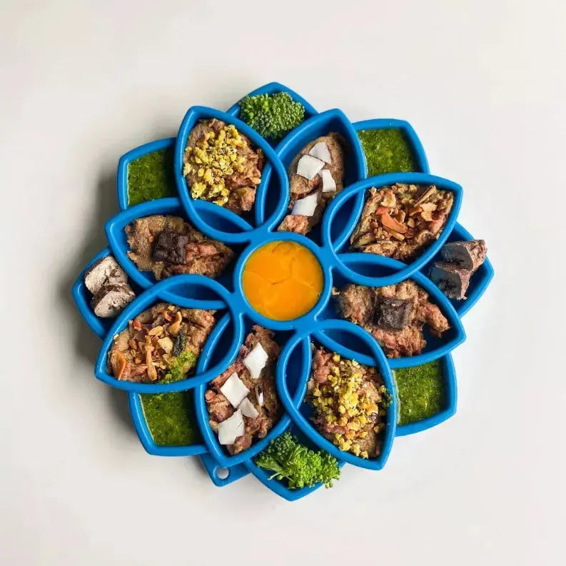 Mandala Design eTray Enrichment Tray for Dogs SodaPup