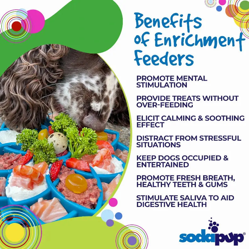Mandala Design eTray Enrichment Tray for Dogs SodaPup