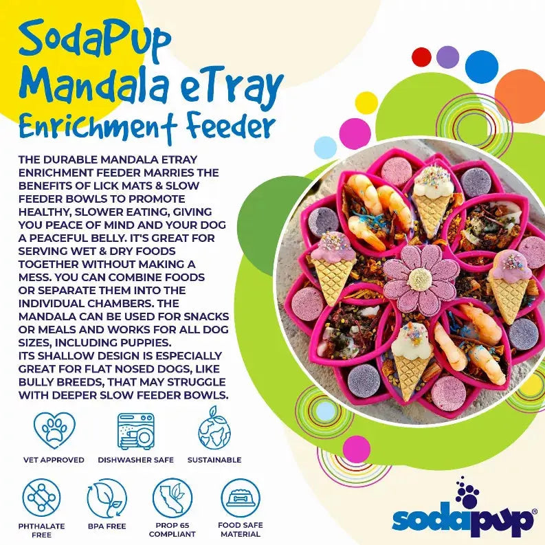 Mandala Design eTray Enrichment Tray for Dogs SodaPup