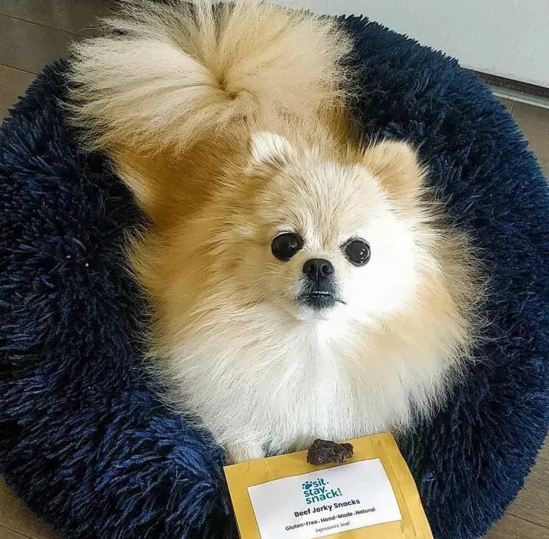 Marshmallow Pets Bed Pawsome Pet