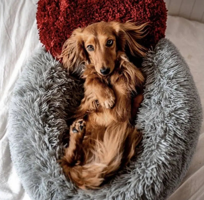 Marshmallow Pets Bed Pawsome Pet