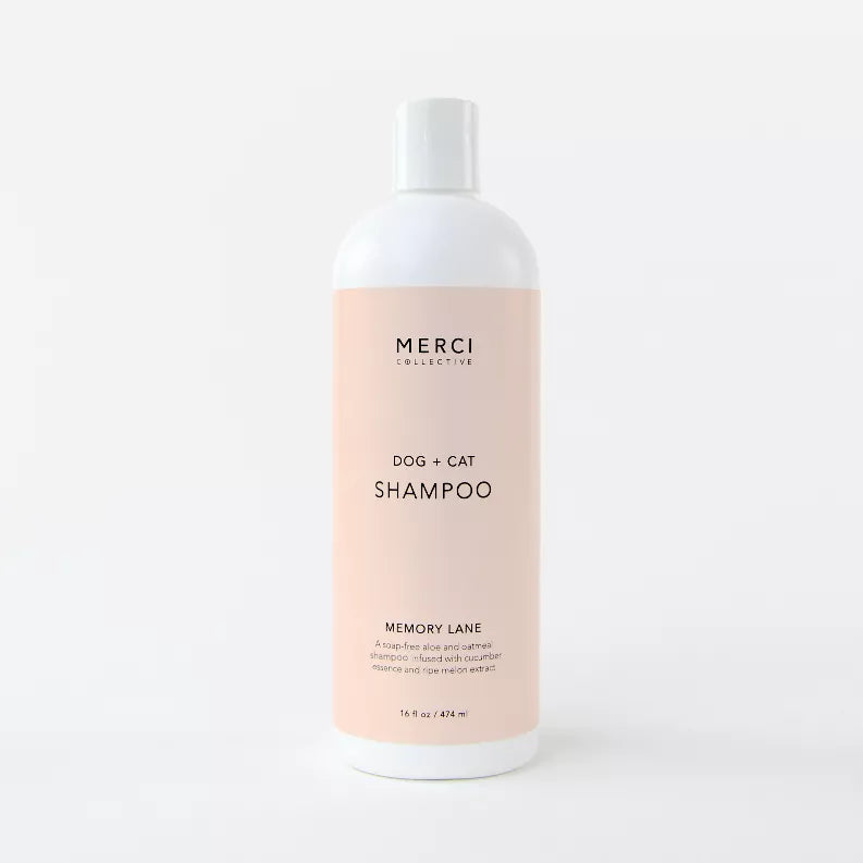 Memory Lane Shampoo Merci Collective