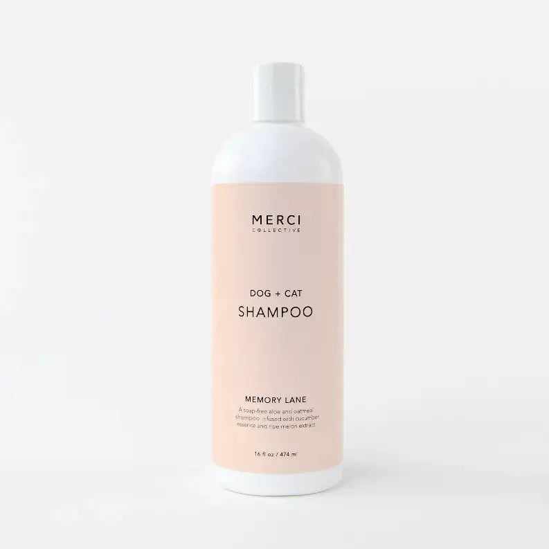 Memory Lane Shampoo Merci Collective