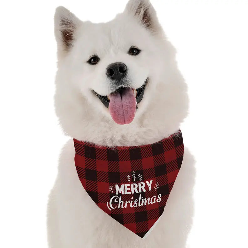 Merry Christmas Bandoggies