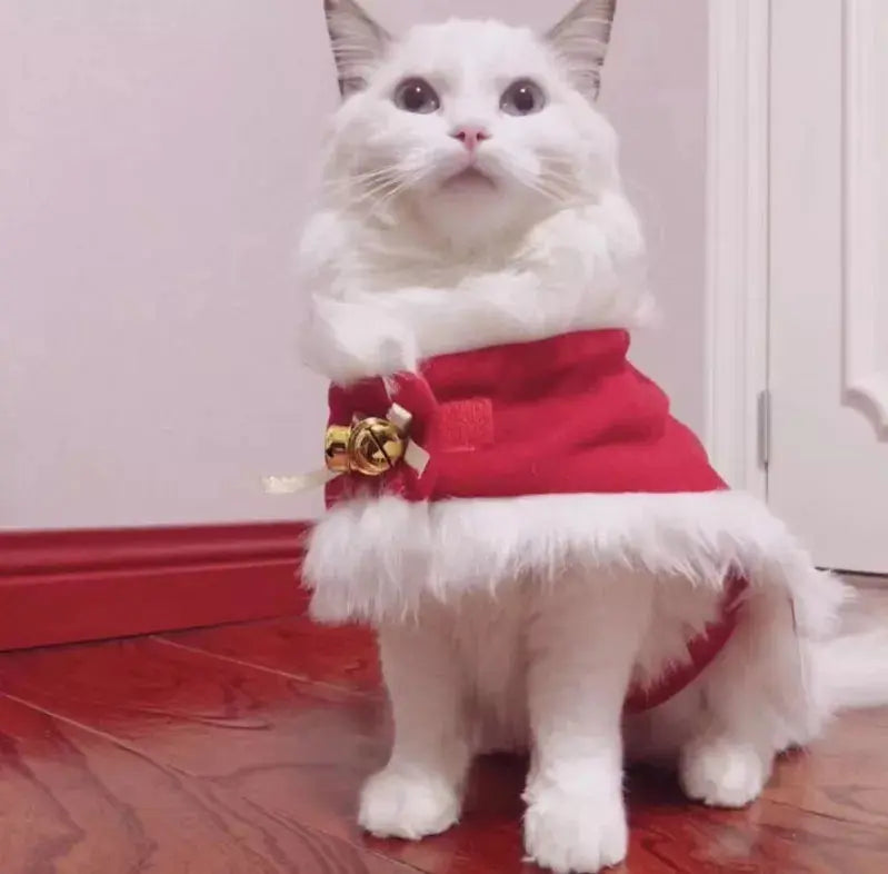 Merry Christmas Pets Beautiful Clothes Pawsome Pet