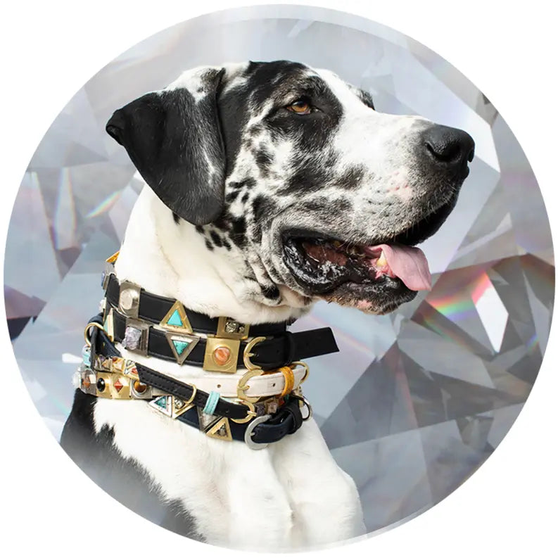 Midnight Black Cork Leather Collar DIPHDA