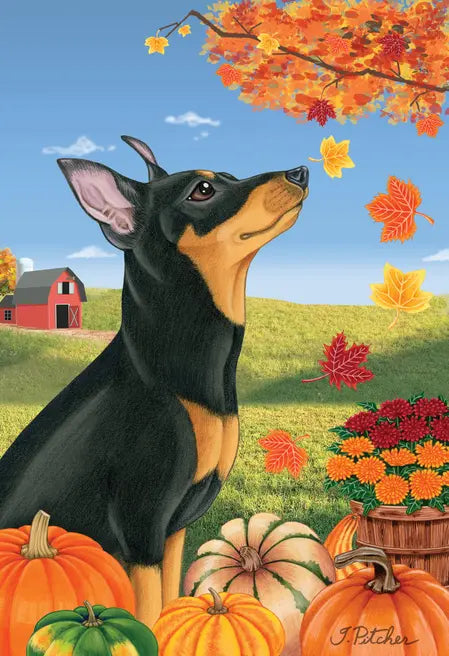 Miniature Pincsher  Black/Tan Cropped- Tomoyo Pitcher Autumn Leaves Outdoor Flag Best of Breed