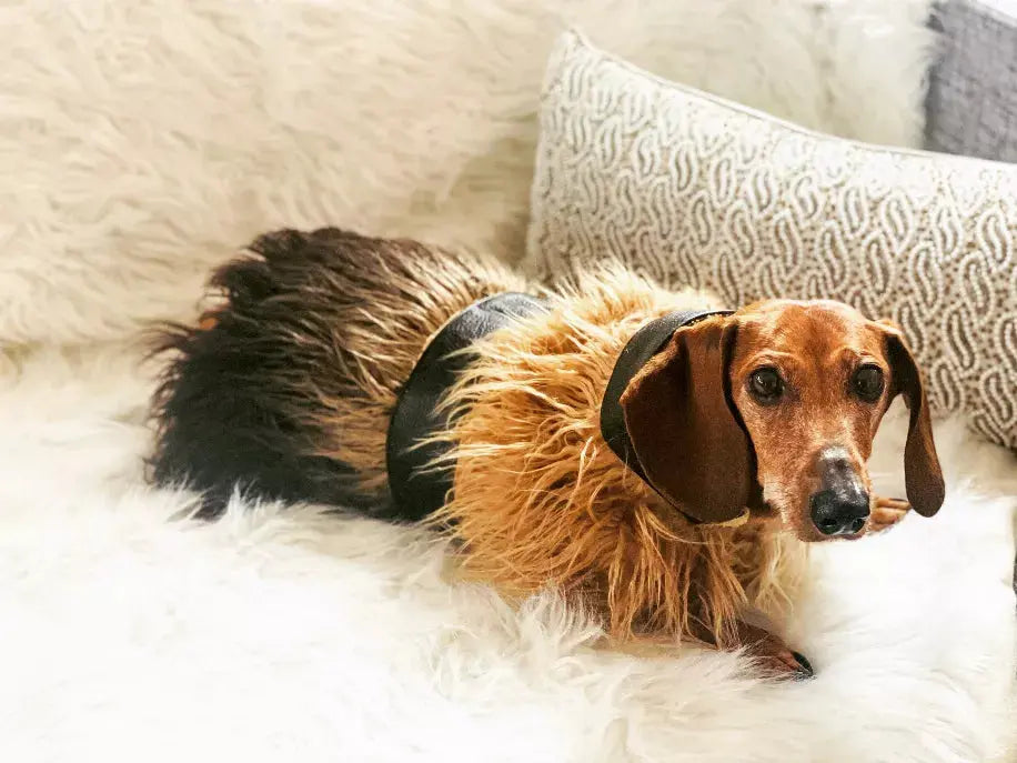 Mink Faux-Fur Vest PoisePup
