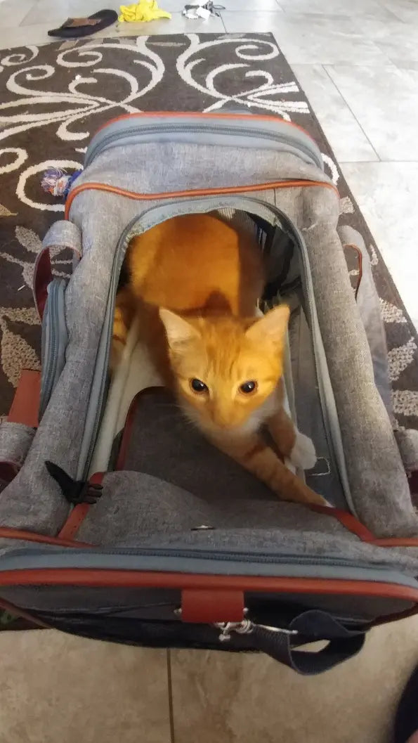 Mr. Peanut's Gold Series Pet Carrier Mr. Peanut's Premium Products