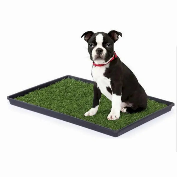 Mr. Peanut's Potty Place - Artificial Grass Puppy Pad for Dogs and Small Pets Mr. Peanut's Premium Products