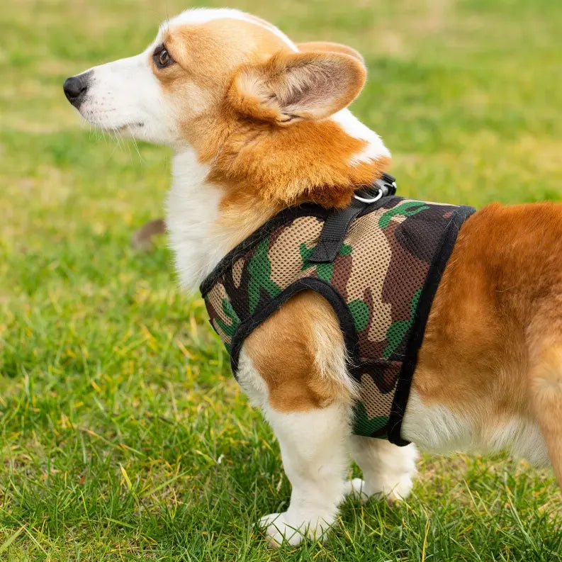 Mr. Peanut's PupTrek Small Dog/Cat Soft Mesh Step In Harness Vest Mr. Peanut's Premium Products