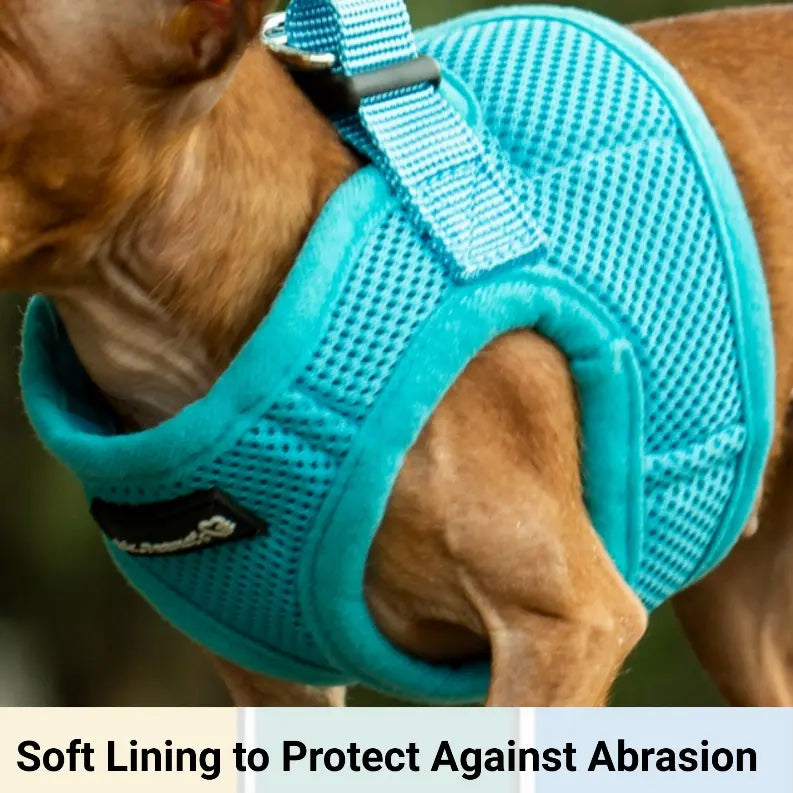 Mr. Peanut's PupTrek Small Dog/Cat Soft Mesh Step In Harness Vest Mr. Peanut's Premium Products