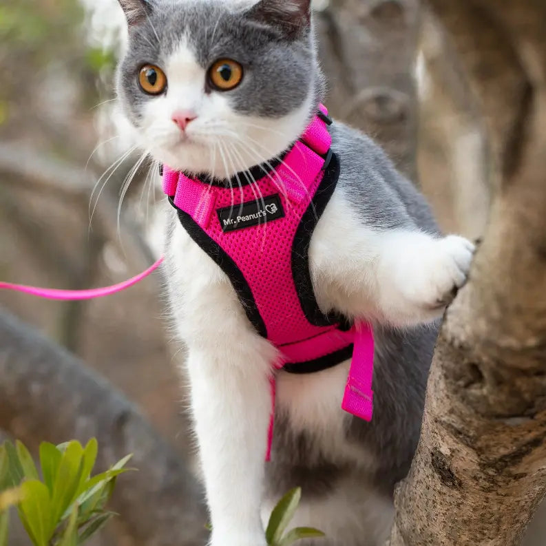 Mr. Peanut's PurrTrek Reflective Cat Harness with Matching Leash Mr. Peanut's Premium Products