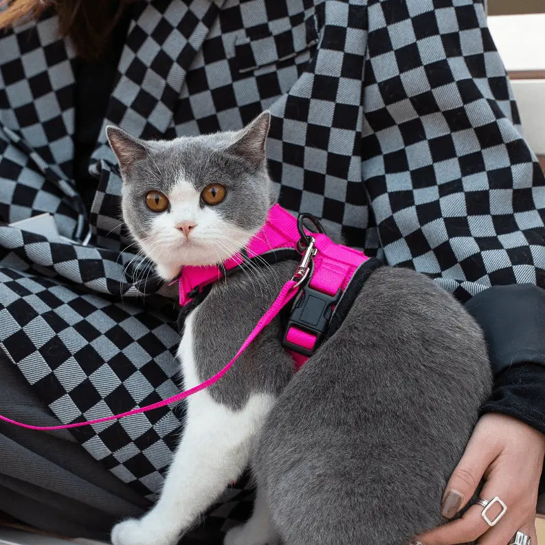 Mr. Peanut's PurrTrek Reflective Cat Harness with Matching Leash Mr. Peanut's Premium Products