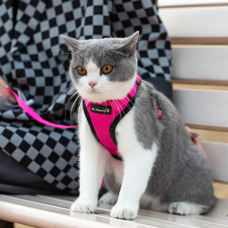 Mr. Peanut's PurrTrek Reflective Cat Harness with Matching Leash Mr. Peanut's Premium Products