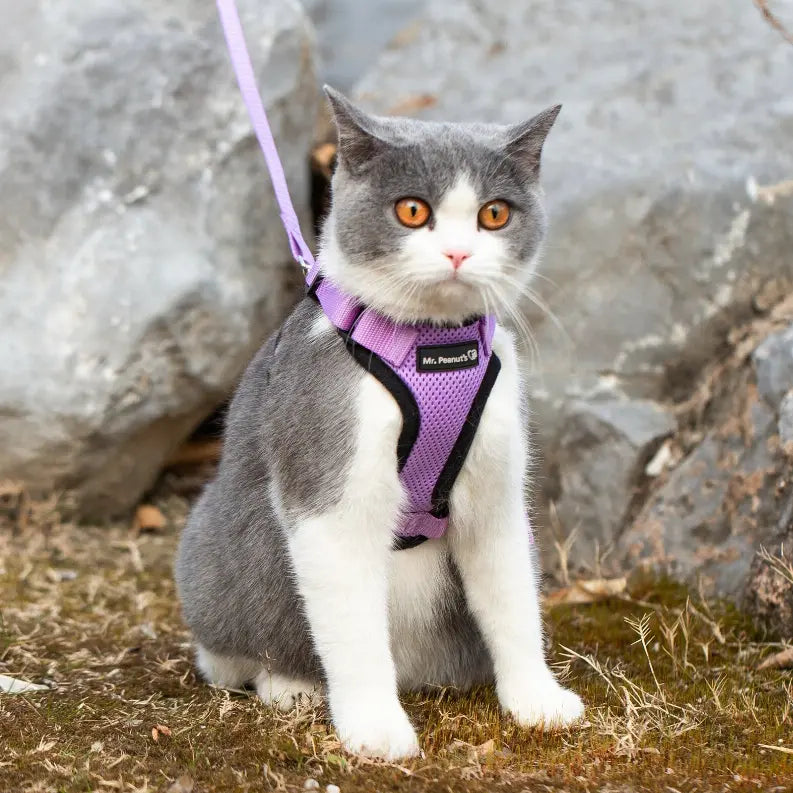 Mr. Peanut's PurrTrek Reflective Cat Harness with Matching Leash Mr. Peanut's Premium Products