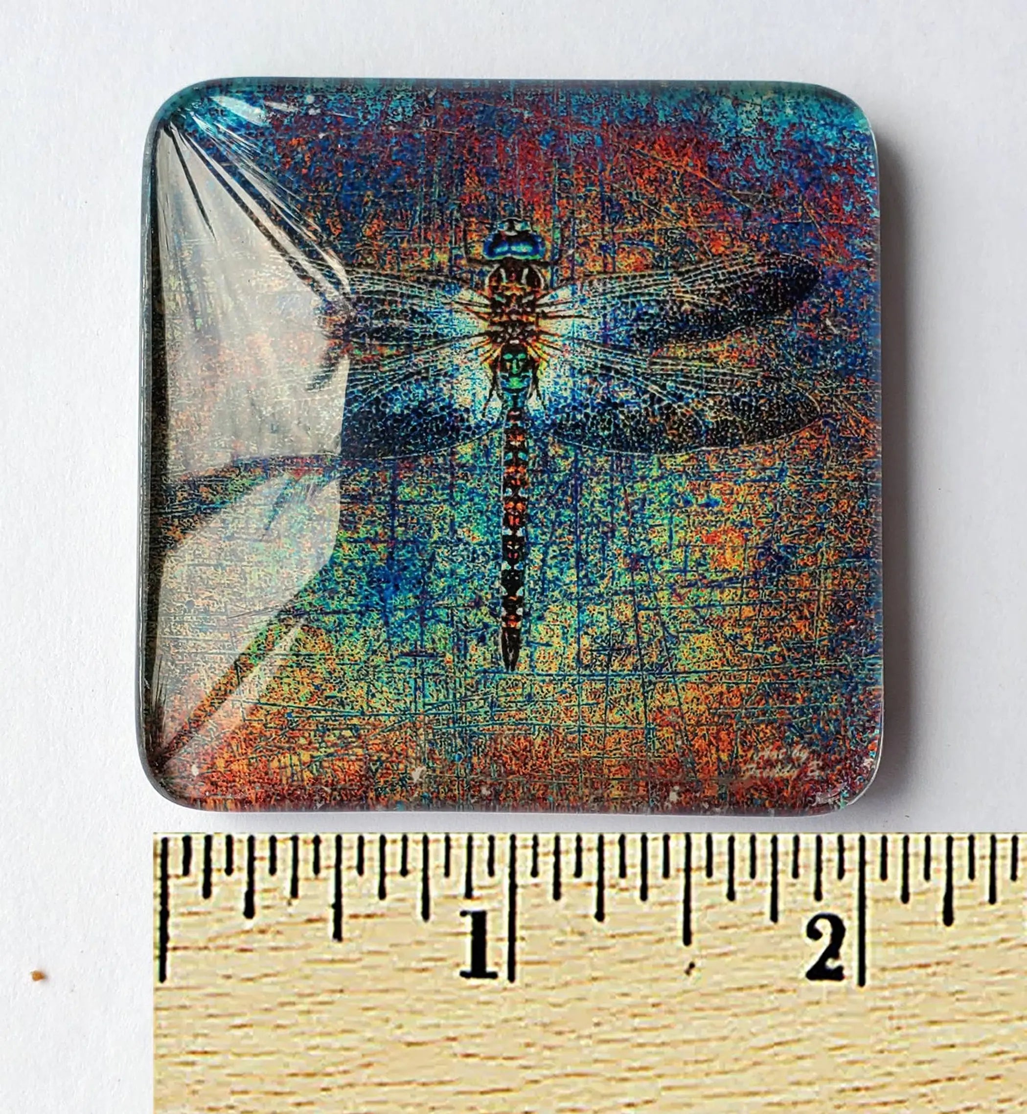 Multicolor Dragonfly Print Acrylic Glass Magnet Dragonfly Distribution