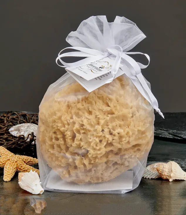Natural Sea Wool Sponge Grecian Soap