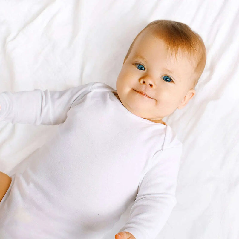 253140404