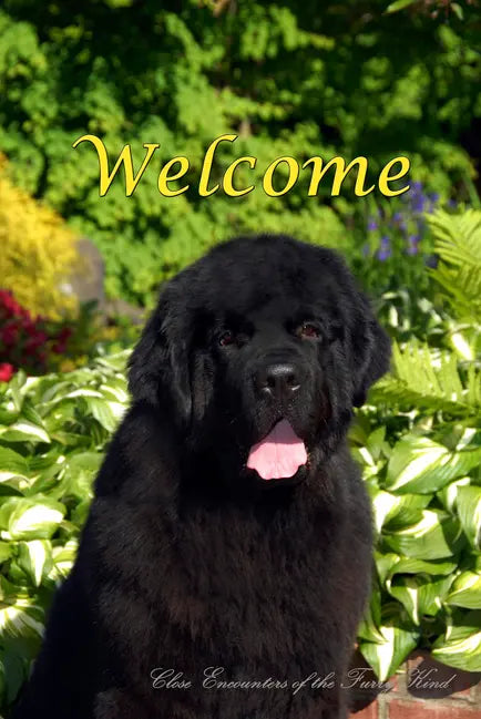 Newfoundland - Close Encounters of the Furry Kind Welcome  House and Garden Flags Best of Breed