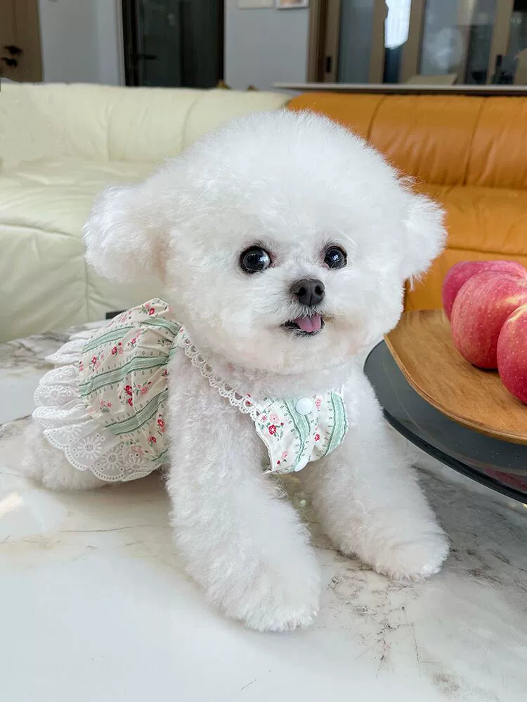 French Floral Bichon Dog Thin Cardigan Teddy