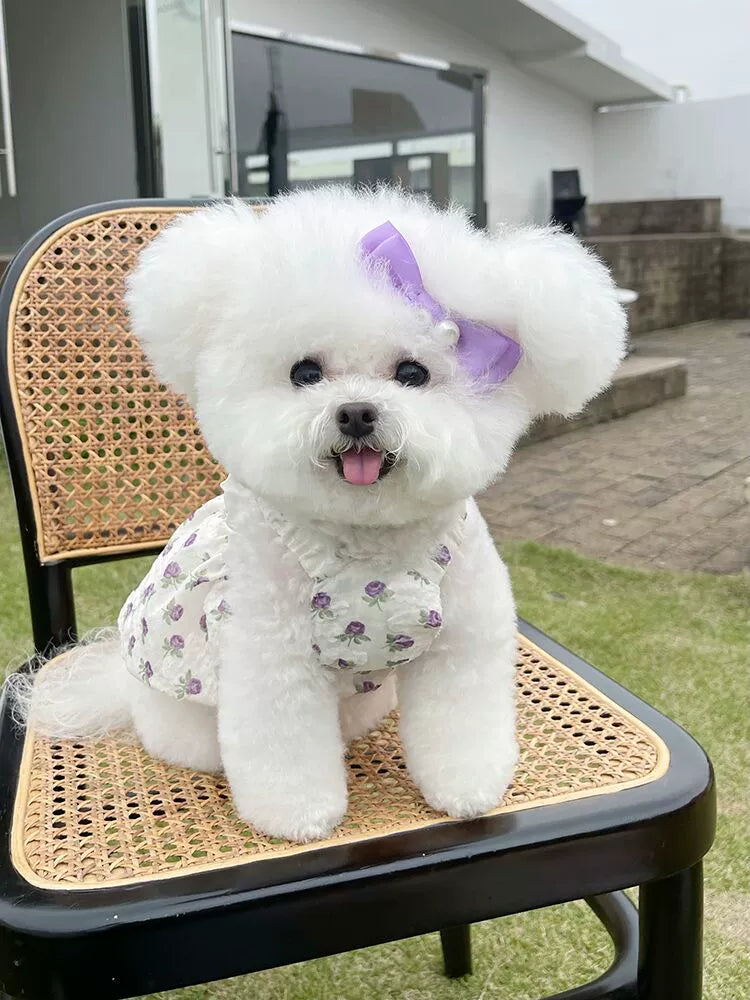 Pet Clothes Spring/Summer New Arrival Floral Slip Dress Teddy Bichon Dog Cat out Traction Buckle Thin Clothes