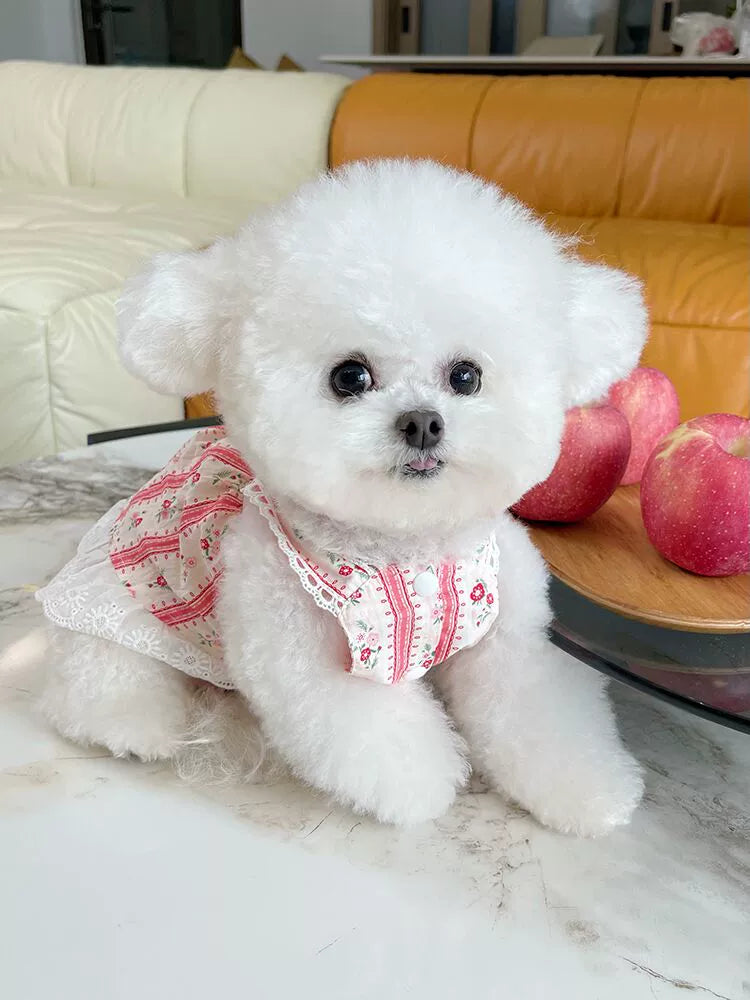 French Floral Bichon Dog Thin Cardigan Teddy