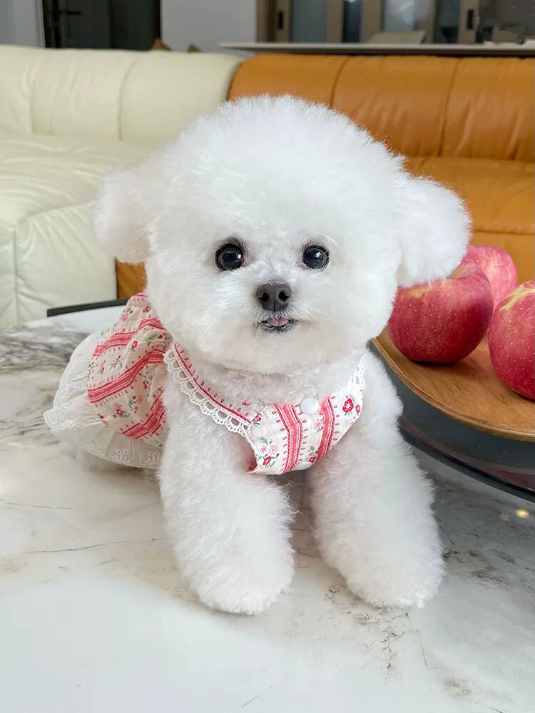 French Floral Bichon Dog Thin Cardigan Teddy