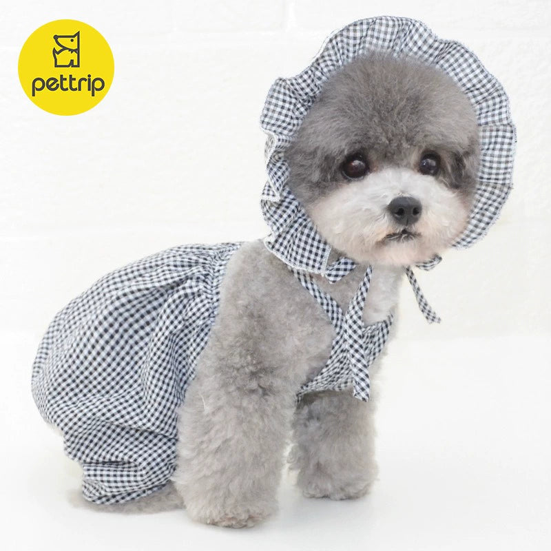 Beitu Dog Clothes 2024 New Arrival Pet Clothes Summer Pumpkin Pants Kitty Dress Teddy/Pomeranian Clothes