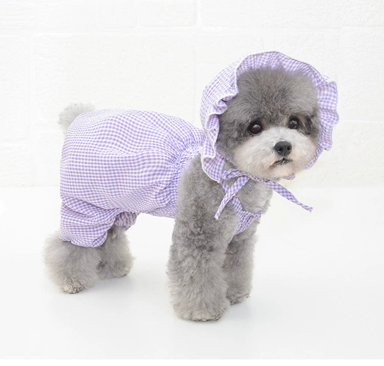 Beitu Dog Clothes 2024 New Arrival Pet Clothes Summer Pumpkin Pants Kitty Dress Teddy/Pomeranian Clothes