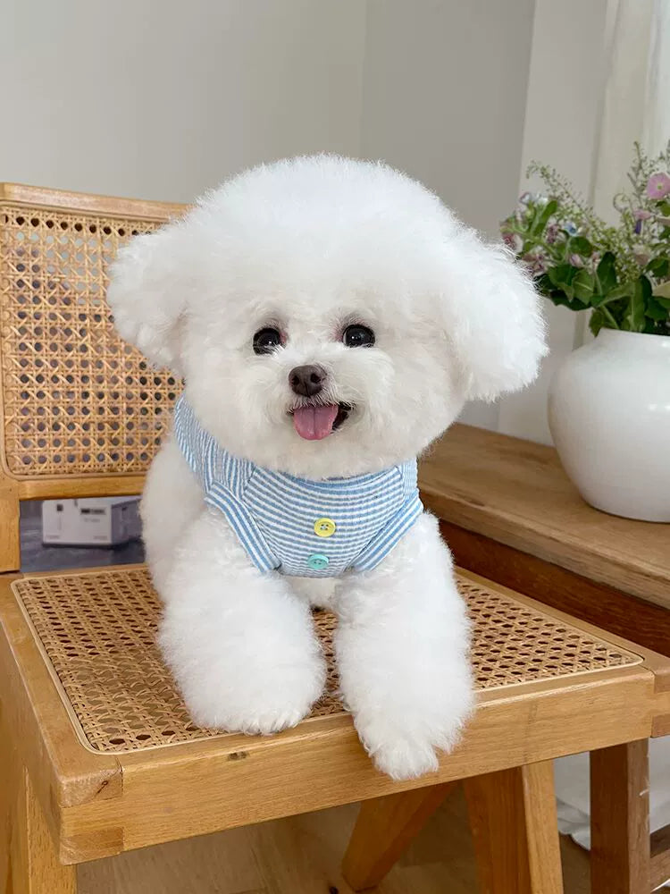 Pet Clothes Fall and Winter New Arrival Stripes Button Vest Tops Teddy Bichon Dog Cat Casual Home Clothes