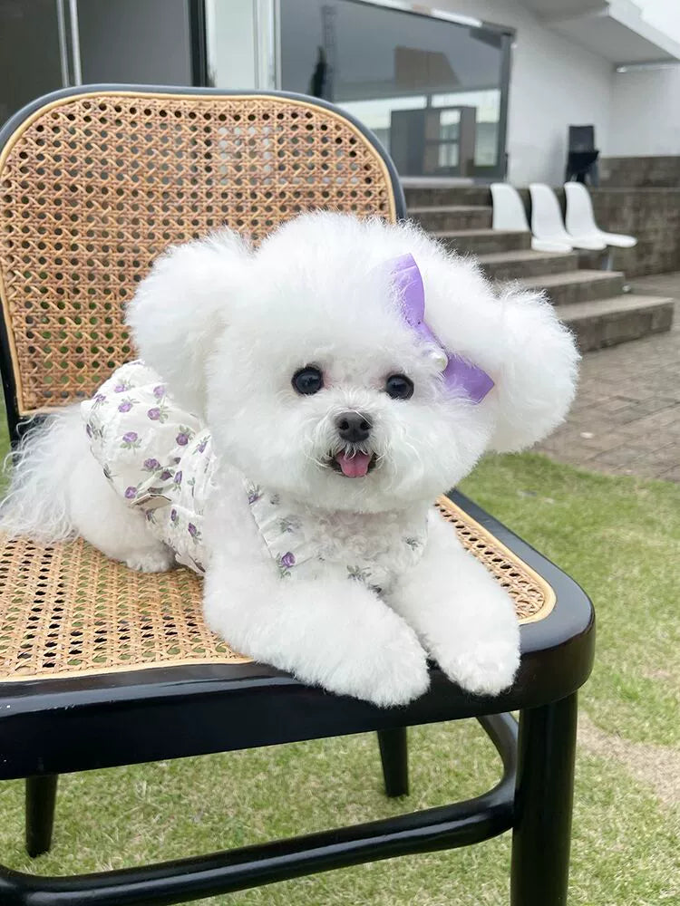 Pet Clothes Spring/Summer New Arrival Floral Slip Dress Teddy Bichon Dog Cat out Traction Buckle Thin Clothes