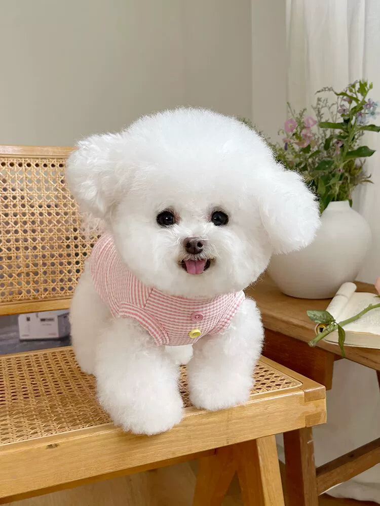 Pet Clothes Fall and Winter New Arrival Stripes Button Vest Tops Teddy Bichon Dog Cat Casual Home Clothes