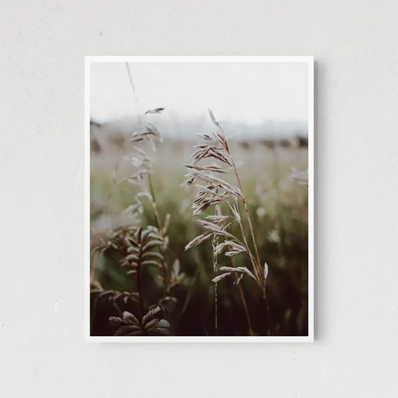 Open Fields The Crafted Prints