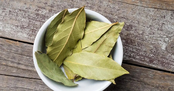 Organic Bay Leaf Three Witches