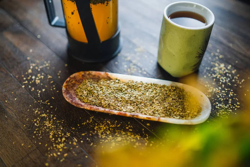 Organic Yerba Mate Western Immortal