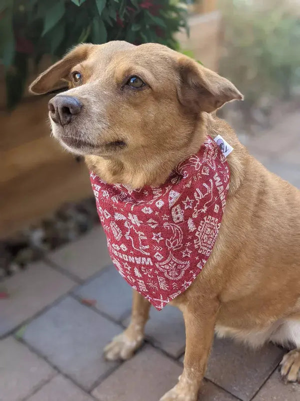 Over-The-Collar Dog Bandana That's Sew LambMa