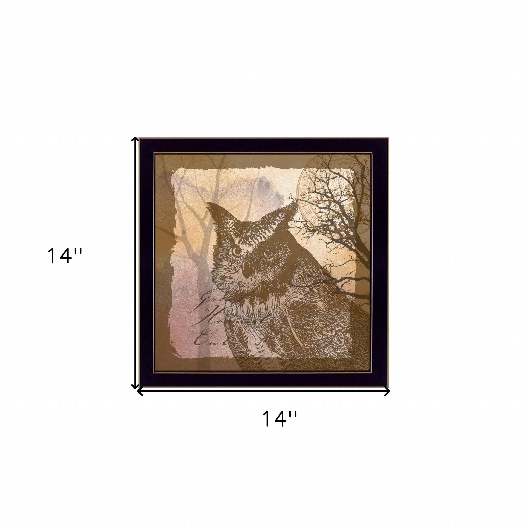 Owl 2 Black Framed Print Wall Art - GreatEagleInc
