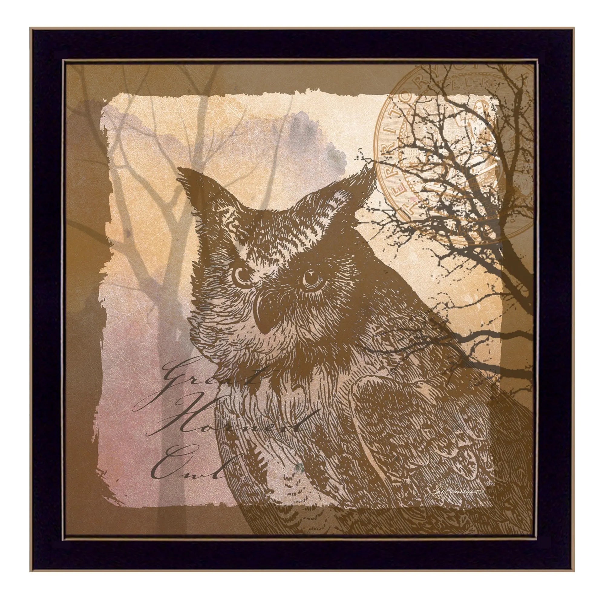 Owl 2 Black Framed Print Wall Art - GreatEagleInc