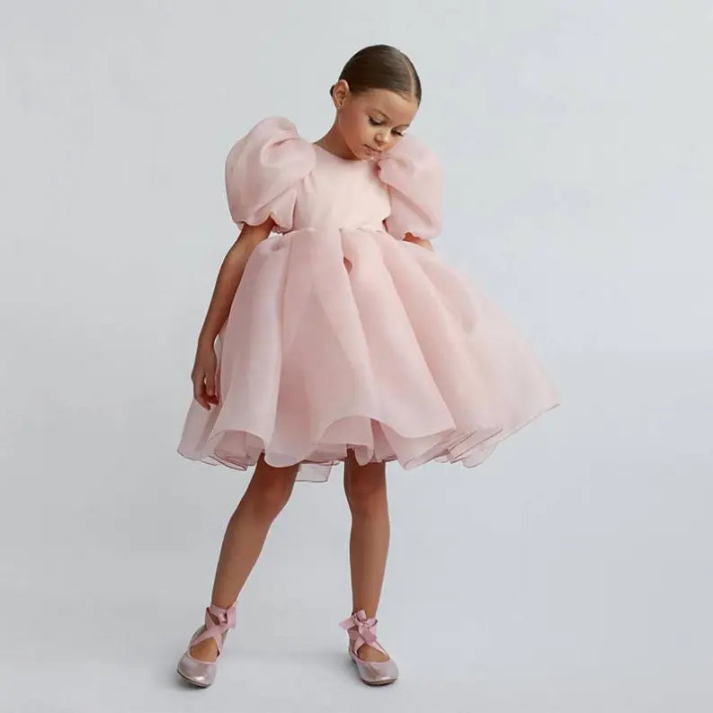 Own Design Shiny Elegant Exquisite Princess Dress Style 11 Pawsome Pet