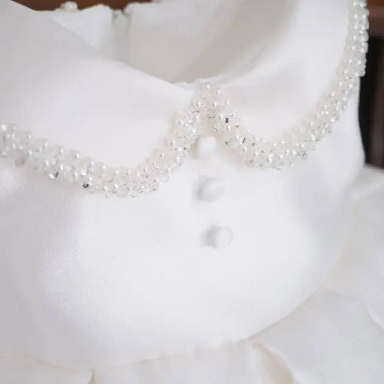 Own Design Shiny Elegant Exquisite Princess Dress Style 64 Pawsome Pet
