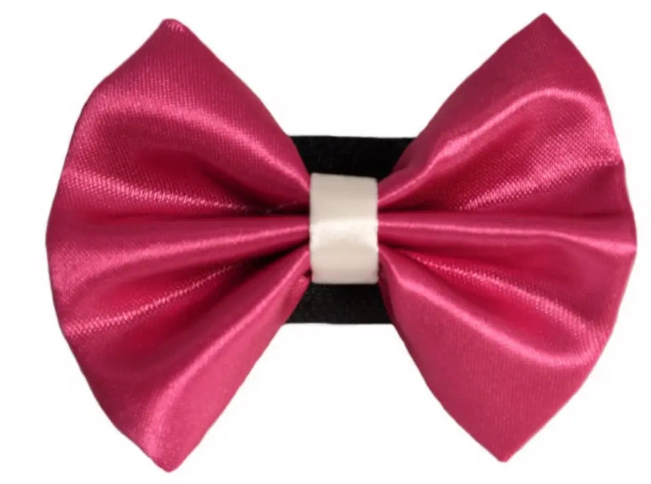 PR3001|Pets Ribbons Pets Ribbons