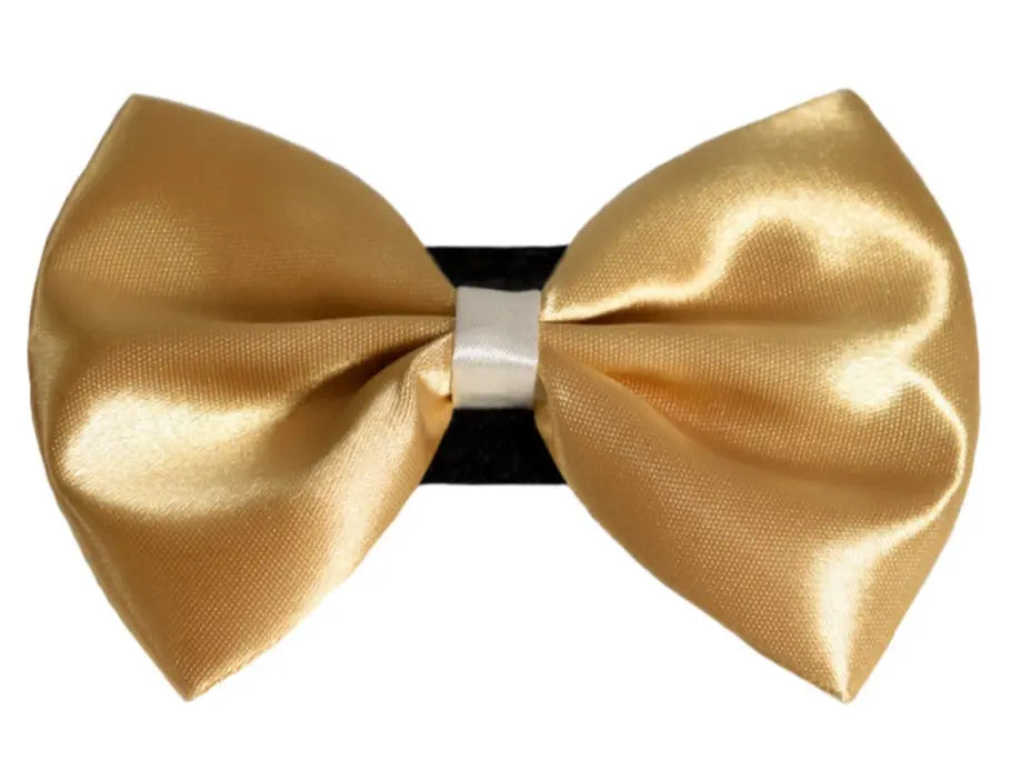 PR3001|Pets Ribbons Pets Ribbons