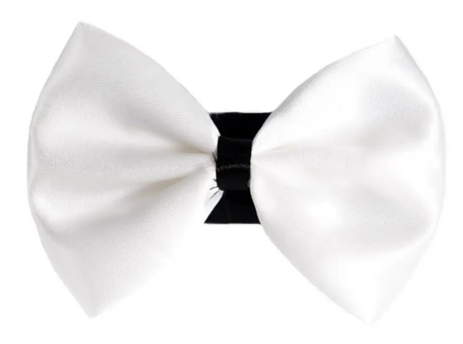 PR3001|Pets Ribbons Pets Ribbons
