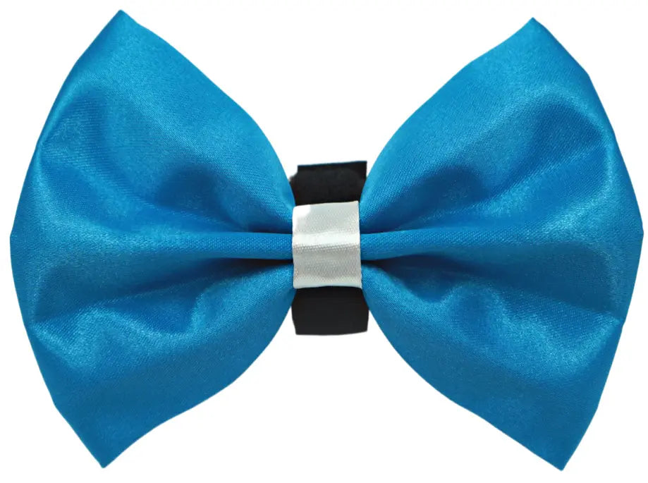 PR3001|Pets Ribbons Pets Ribbons