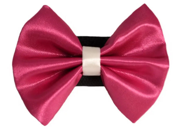 PR3001|Pets Ribbons Pets Ribbons