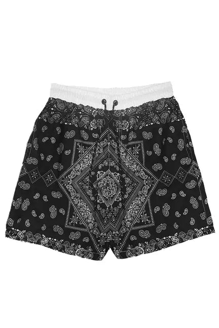 Paisley Print Swim Shorts WEIV