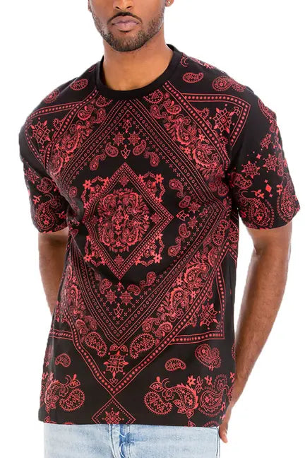 Paisley Print Tshirt WEIV