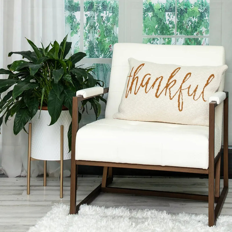 Parkland Collection Gold_Thankful Transitional Beige Throw Pillow Parkland Collection